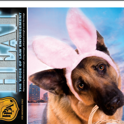 https://dcpba.org/wp-content/uploads/2020/09/Heat-Magazine-April-2020_compressed-pdf-400x400.png