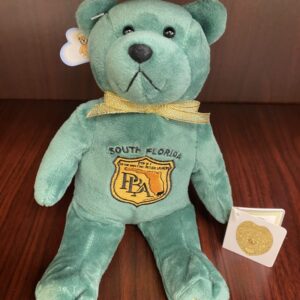 Corrections Teddy Bear 9”