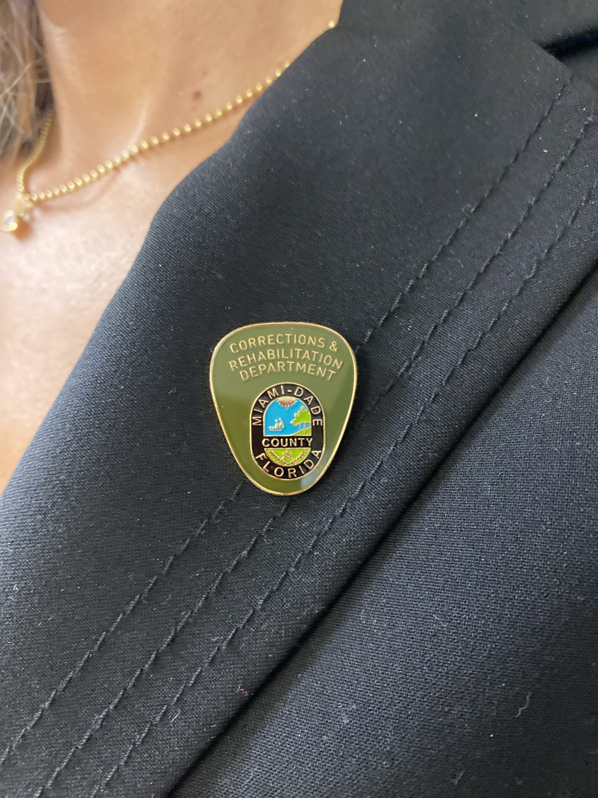 Lapel Pins - Image 4